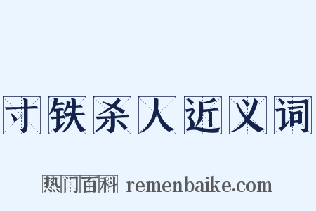 寸铁杀人近义词是什么意思的图片